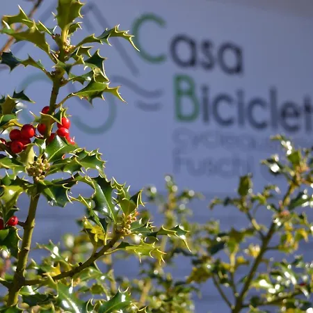 Apartmán Casa Bicicletta